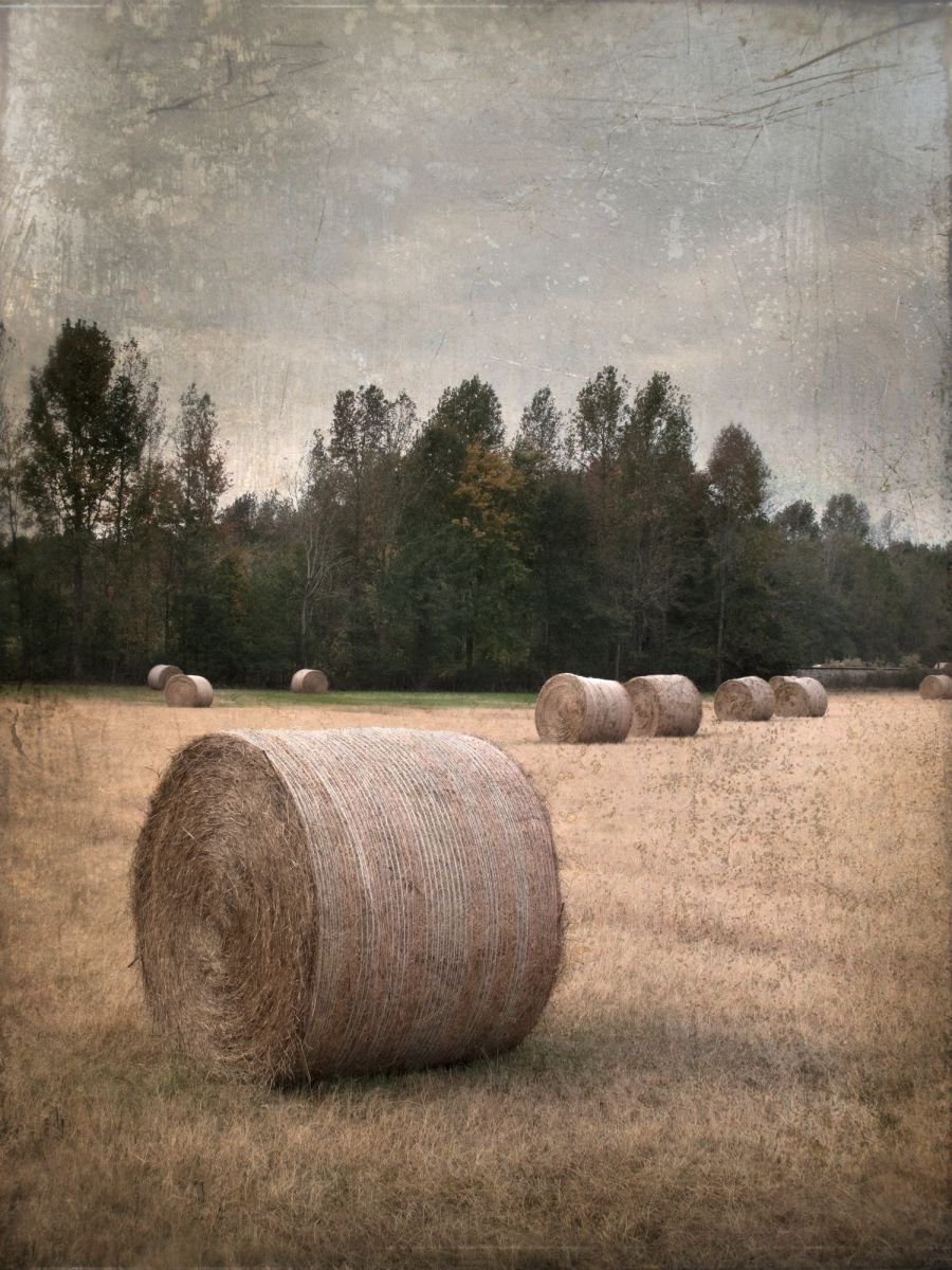 Landscape Photograph By Robert Tolchin, 14 X 18", Untitled Hay Bales, Original Artwork