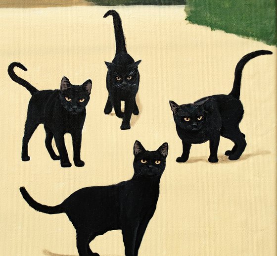 When Cats Gather