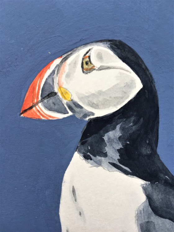 Puffin #4