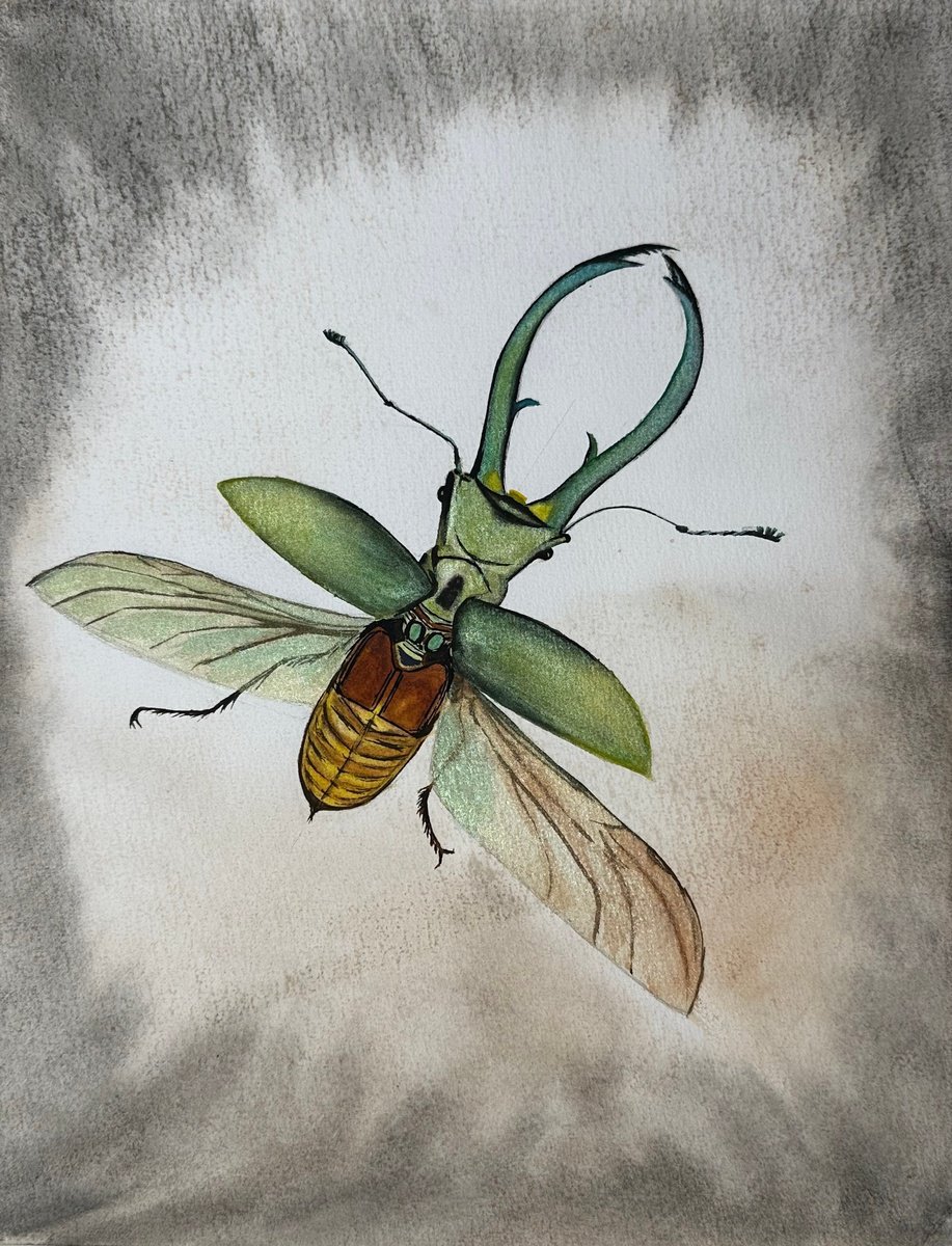 Animal Watercolour By Yuliia Sharapova, 11 X 14", Rainbow King Magnificenza, Original Artwork