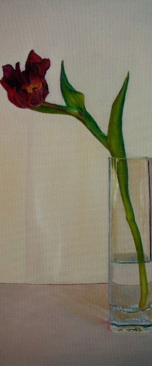 Red Tulip in Vase by Trinidad Ball