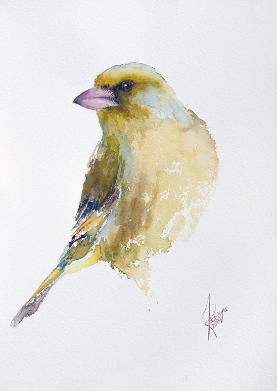 Greenfinch