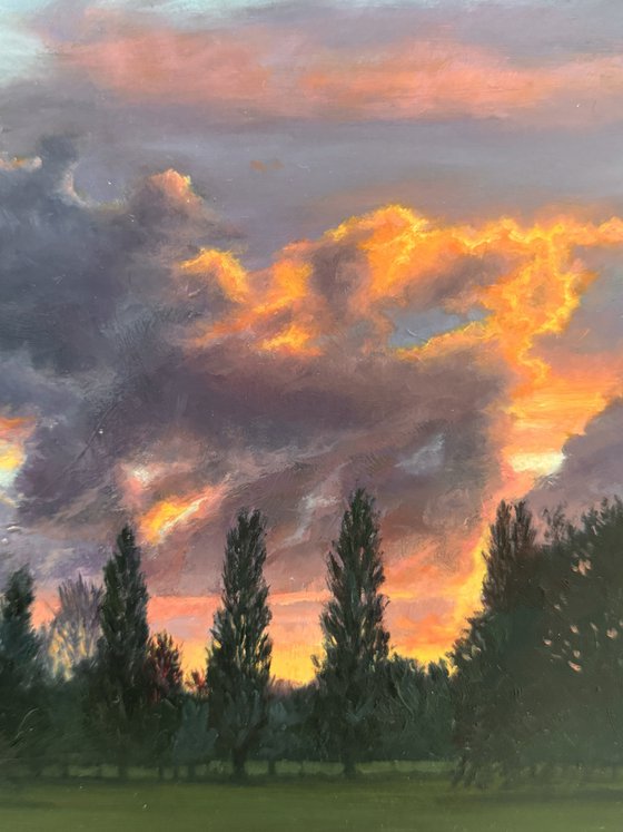 Sunset in MH Park (XVII)
