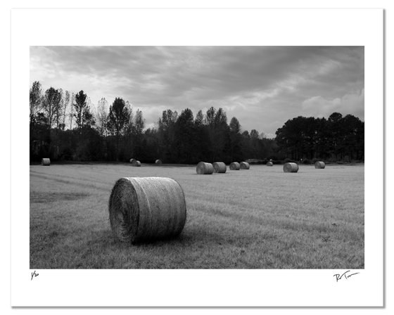 American Road Trip (#940)