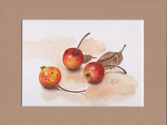 Autumn - Wild apples 1