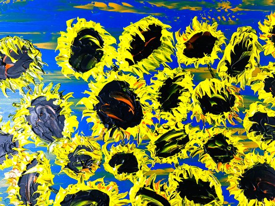 Blooming sunflowers 6