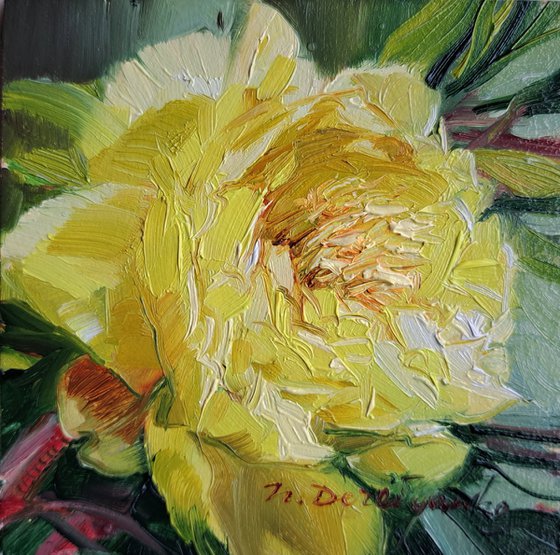 Small oil painting original framed art Yellow peony flower 4x4 in frame