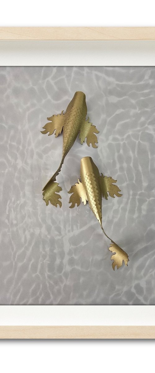 Two gold Koi by Daniel A du Preez