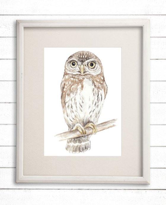 Owl Original Watercolor