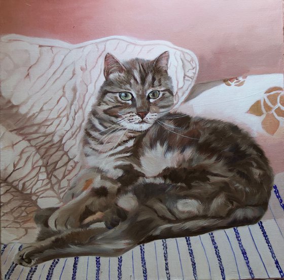 Resting on a bed, portrait of a grey cat