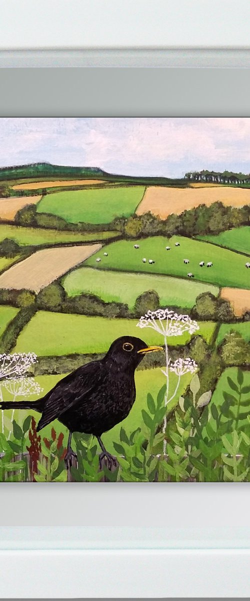 The Blackbirds' view by Carolynne Coulson