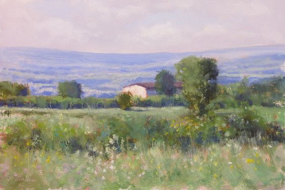 Farm near Sisteron