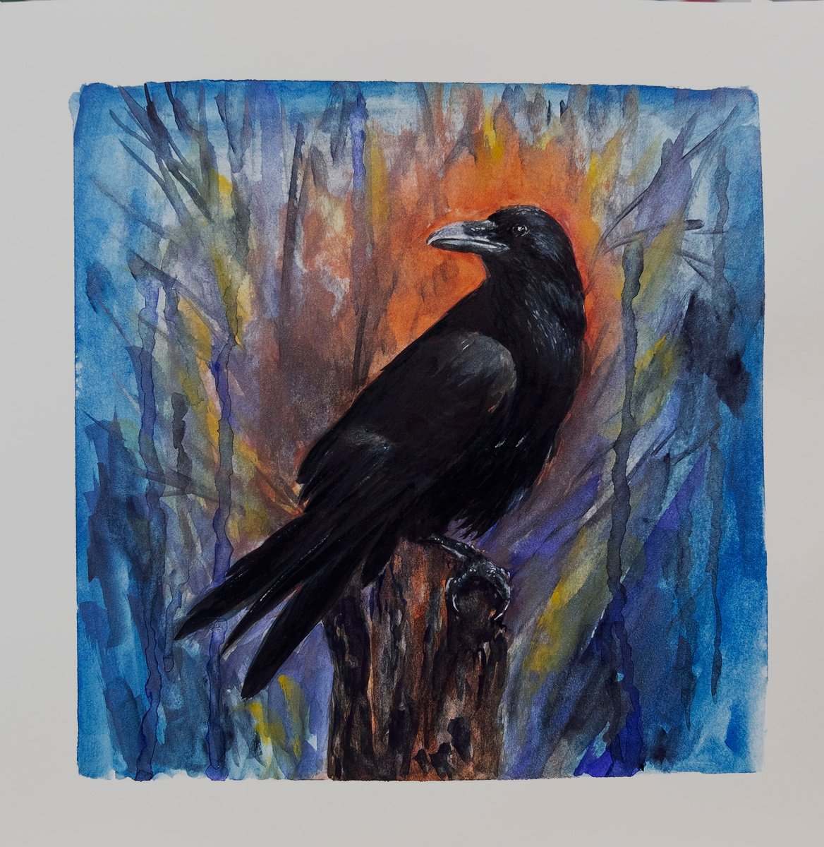 Bird. The Raven. by Anastasia Woron