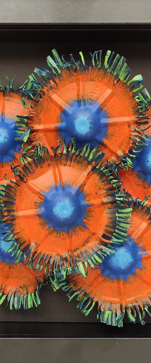 Zoanthids colony-9 by Swapna Namboodiri