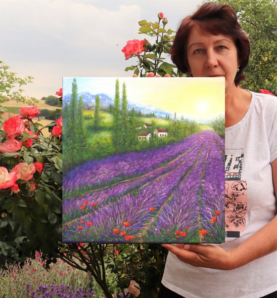 Lavender in Provence