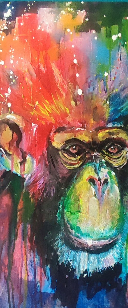 Monkey by beata harasim