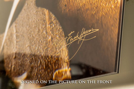 BB King - King of the Blues 1976 on Dibond