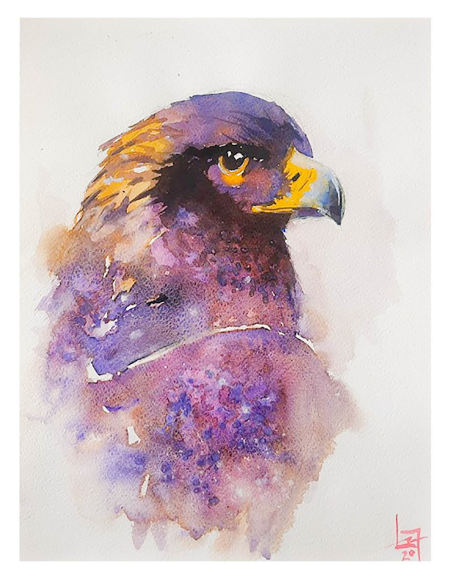 Expressive Animal Watercolour By Flavio Furlan, 11 X 15, Aquila, Original Artwork