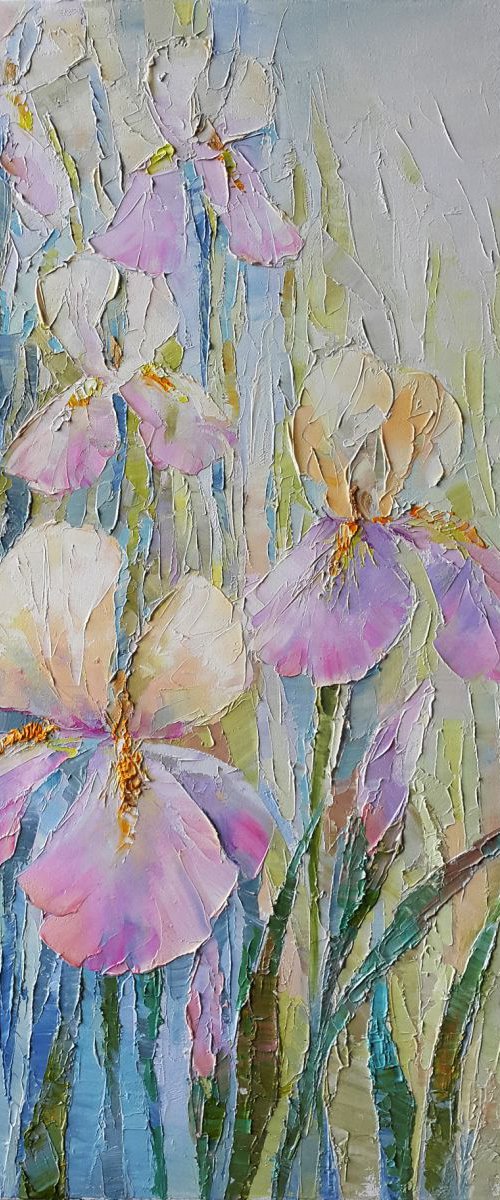 Delicate irises by Anastasia Kozorez