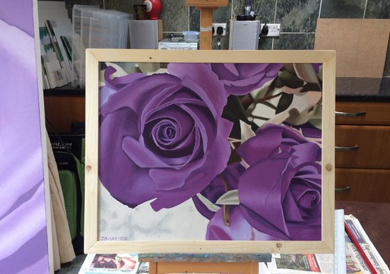 Purple Roses