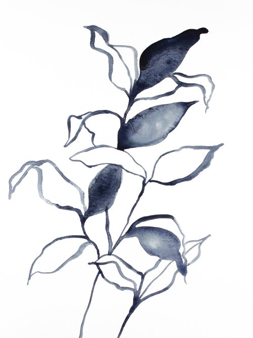 Plant Study No. 73 by Elizabeth Becker