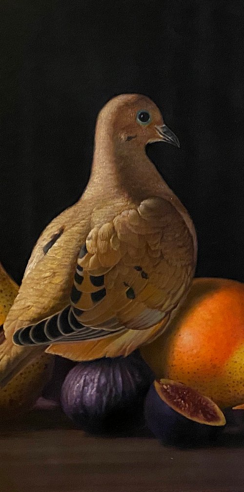 Mourning Dove and Still-Life by Paul Cheng