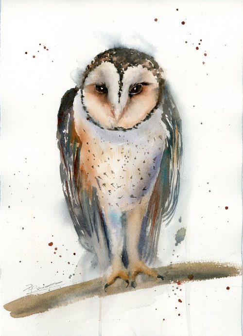 Barn OWL by Olga Shefranov (Tchefranov)