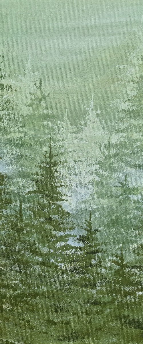 Grizedale Mist, The Lake District by Sam Martin