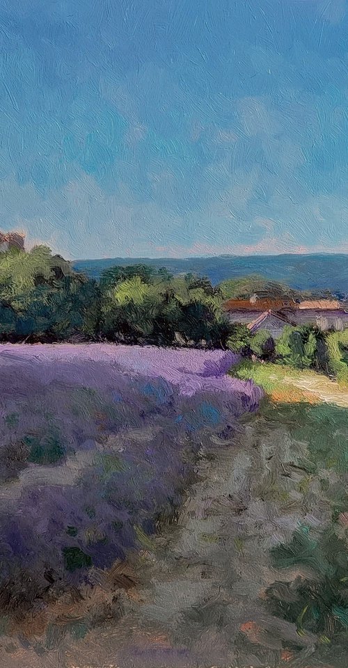 Lavander Field in Drôme Provençale by Pascal Giroud