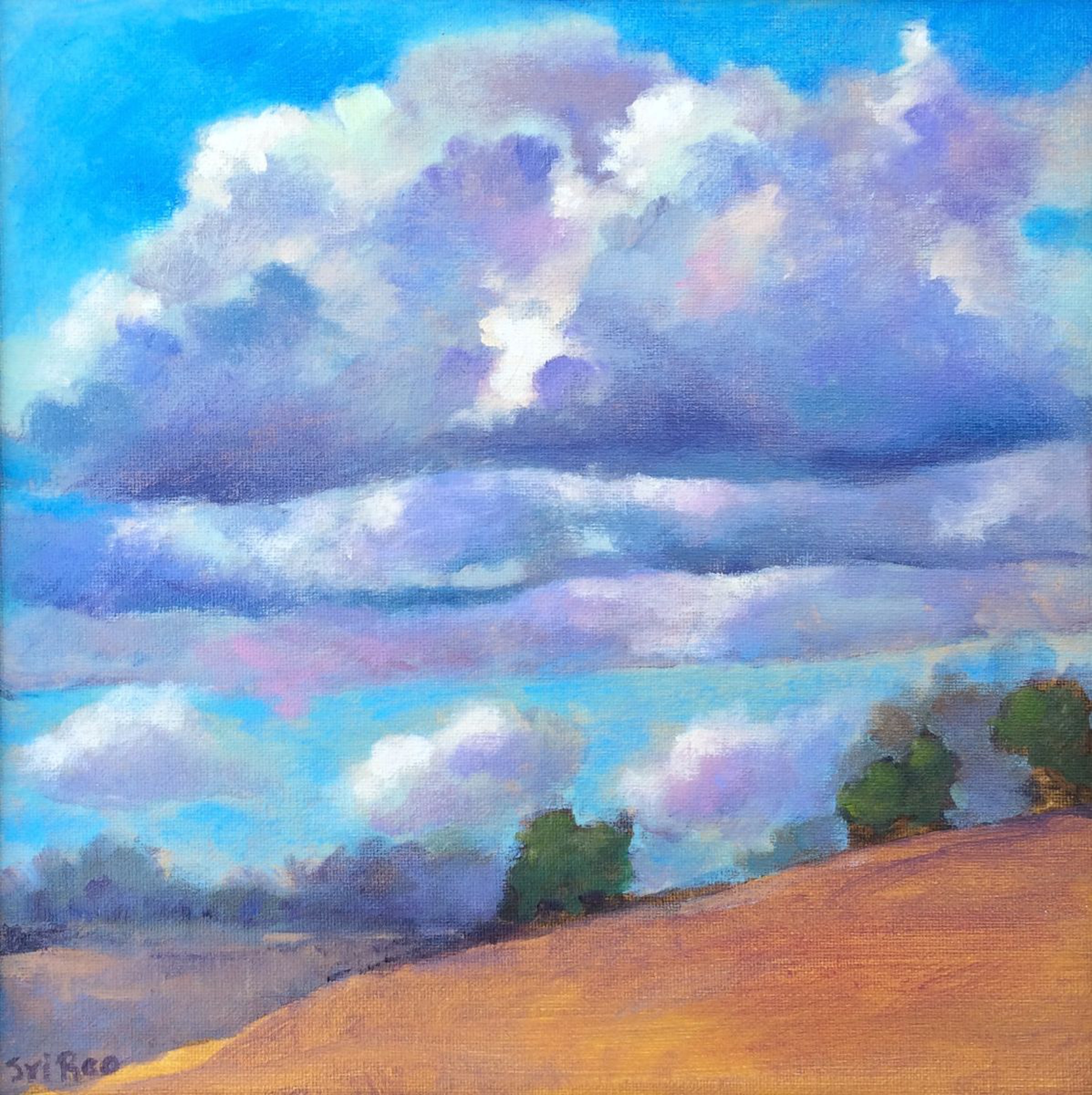 Afternoon Clouds Acrylic Painting By Sri Rao Artfinder