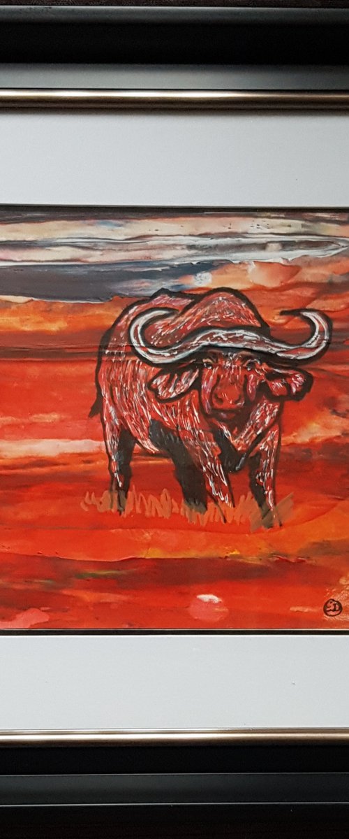 Buffalo at sunset by Els Driesen