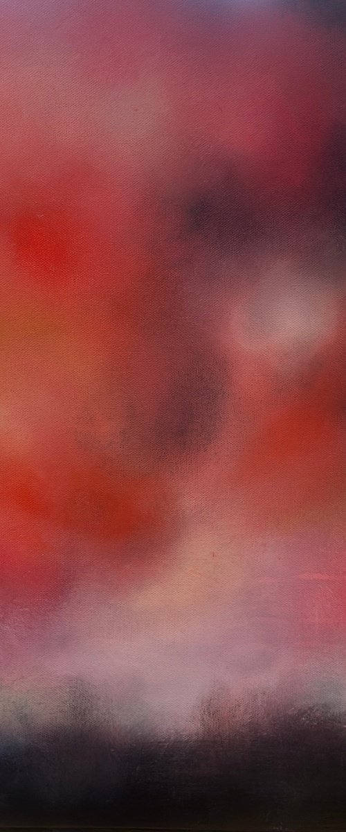 Firework Sky by Laura Kedzlie