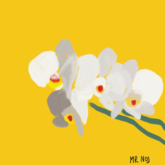 Orchidea