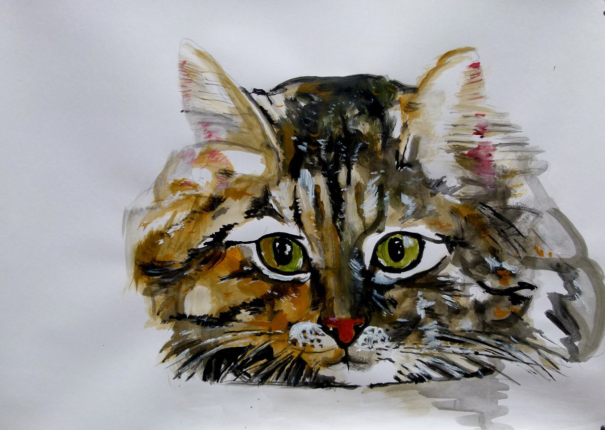 Cat by Soso Kumsiashvili