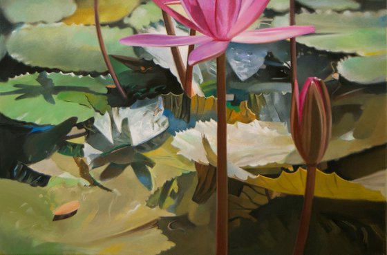 Water lilies