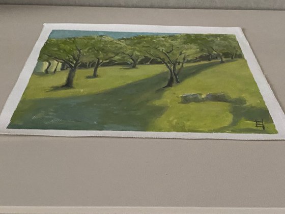 The Distance Between Trees