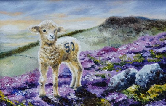 The Lost Sheep £40