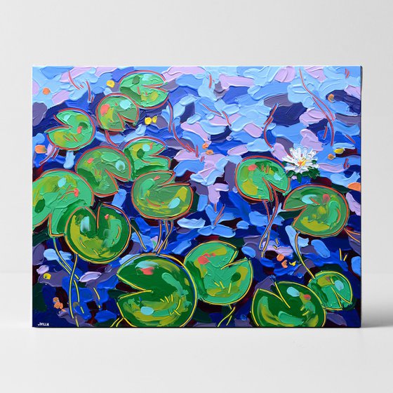 Tasman Lily Pond 29