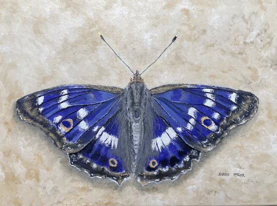 Purple Emperor