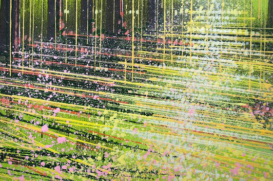 Light Through Spring Blossom Trees