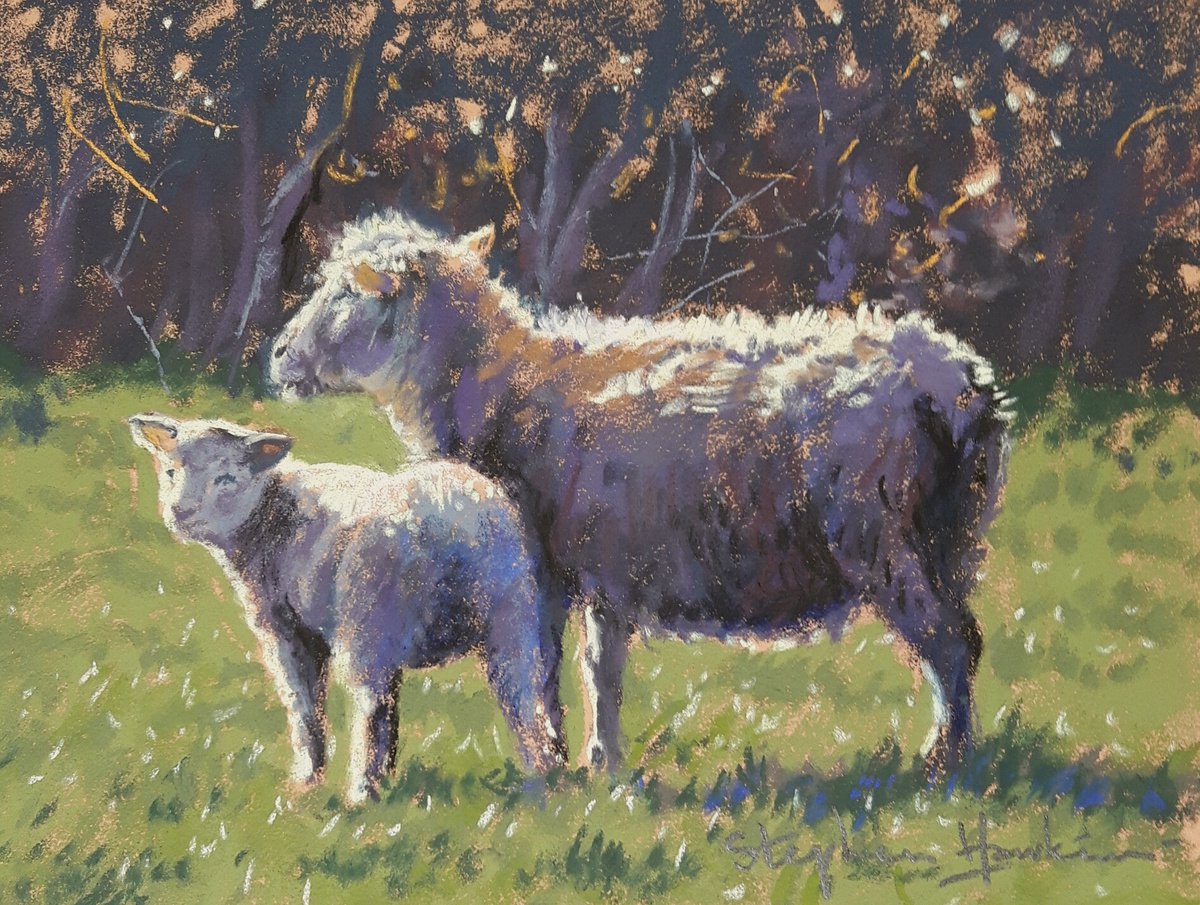 Ewe and Lamb by Stephen Hawkins