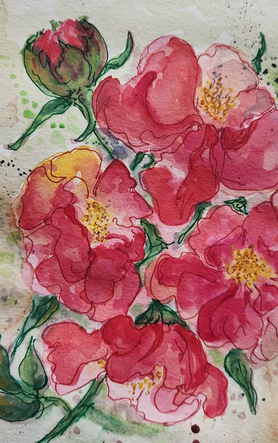 Petals of Becoming