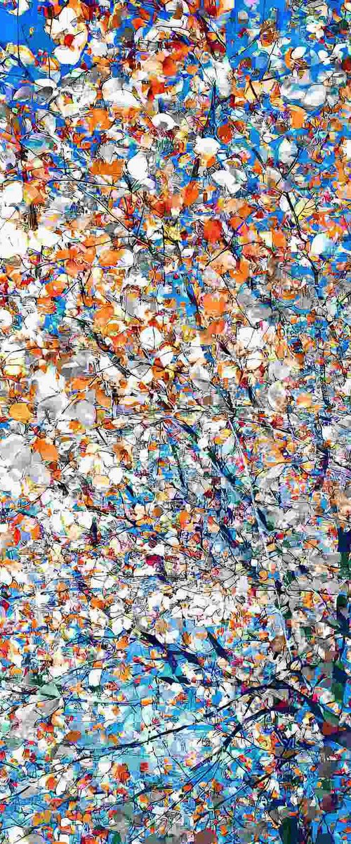 The movement of colors by Oleksandr Shapovalov