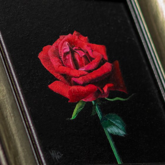 "The Red Rose"