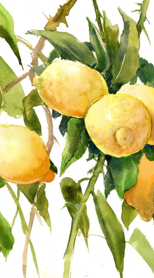 Lemons on the Tree by Suren Nersisyan