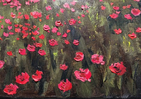 Poppies near the sea