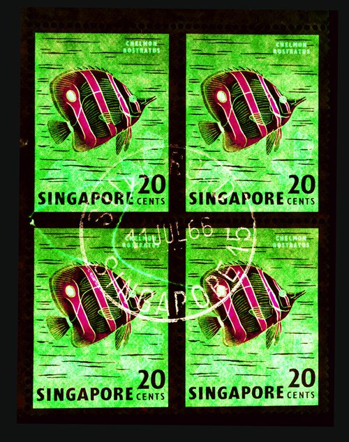 Singapore Stamp Collection '20 Cents Singapore Butterfly Fish' (Green) by Richard Heeps