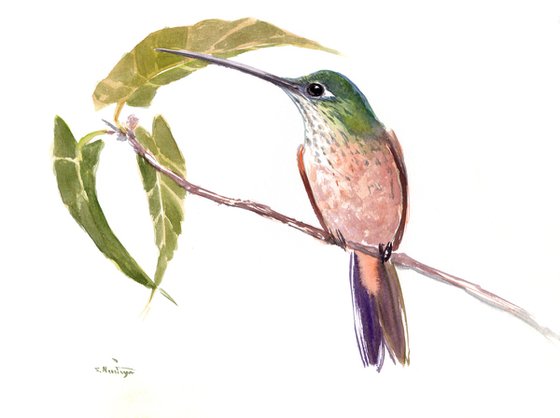 Hummingbird on the Tree