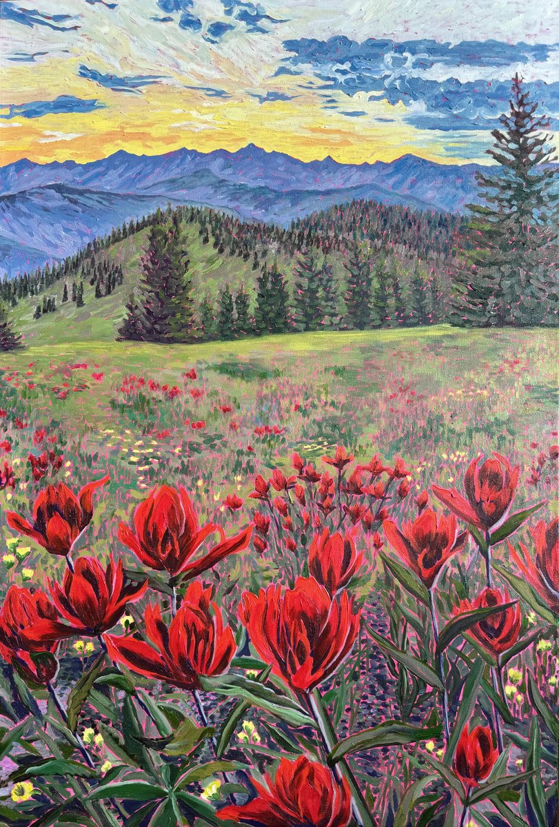 Scarlet Indian Paintbrush At Sunset By Zulfiya Mukhamadeyeva, 24 X 35, Artwork For Sale On Artfinder