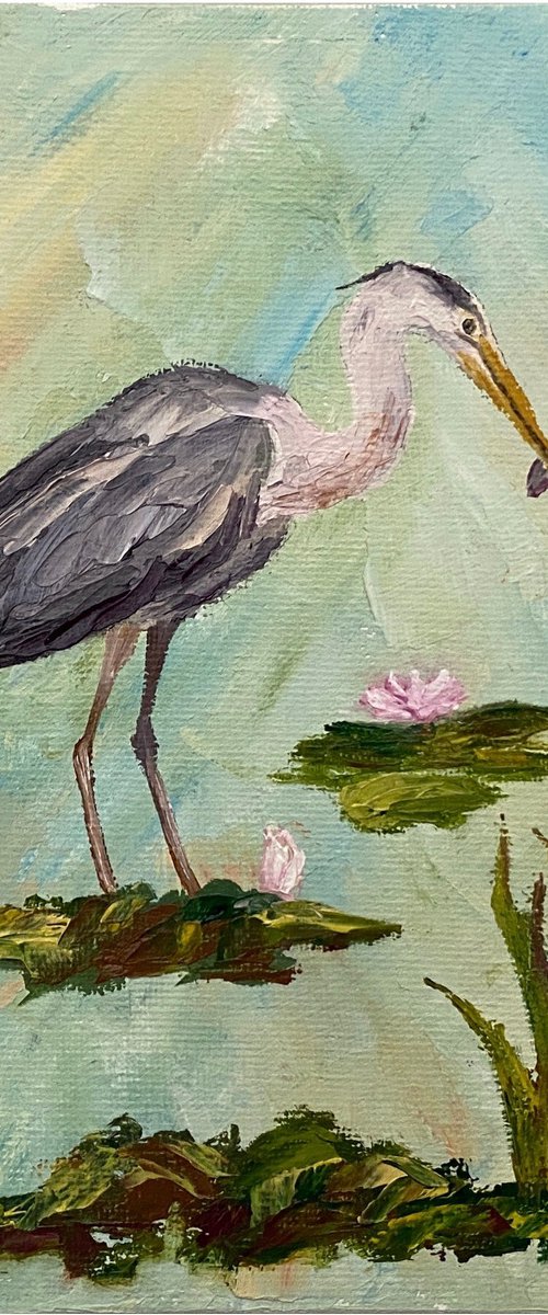 Fishing heron by Olga Kurbanova